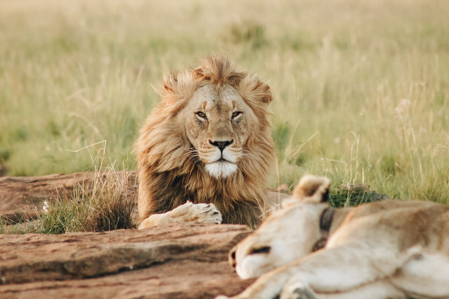 Top Ten Hidden Gems Across The African Continent